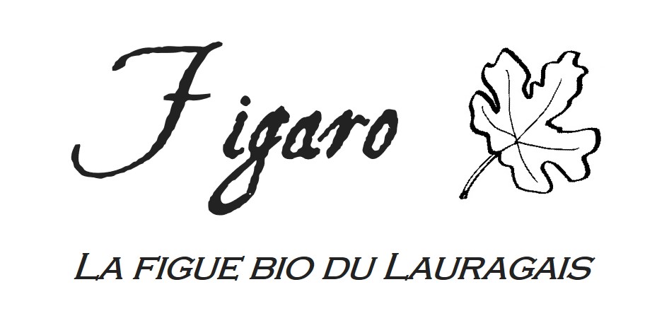 figarobio.fr
